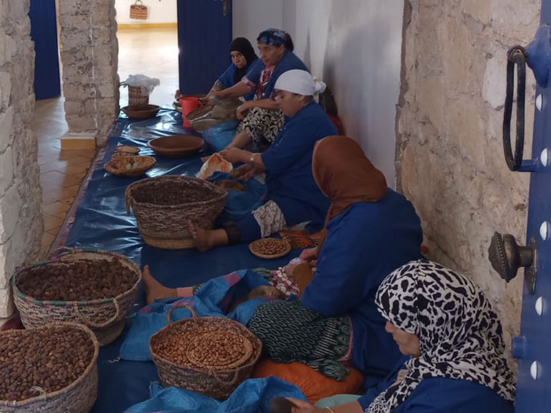 Ascenso al Toubkal y turismo en Marruecos